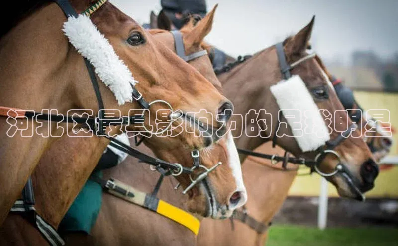 摩登天空7华策影视河北区最具影响力的足球明星