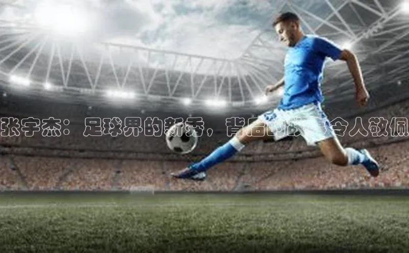 摩登7登录平台注册百度Apollo张宇杰：足球界的新秀，背后的故事令人敬佩