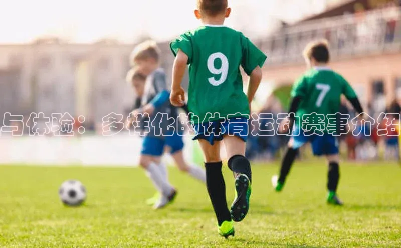 摩登7客服百度智能门户与体验：多样化的体育运动赛事介绍