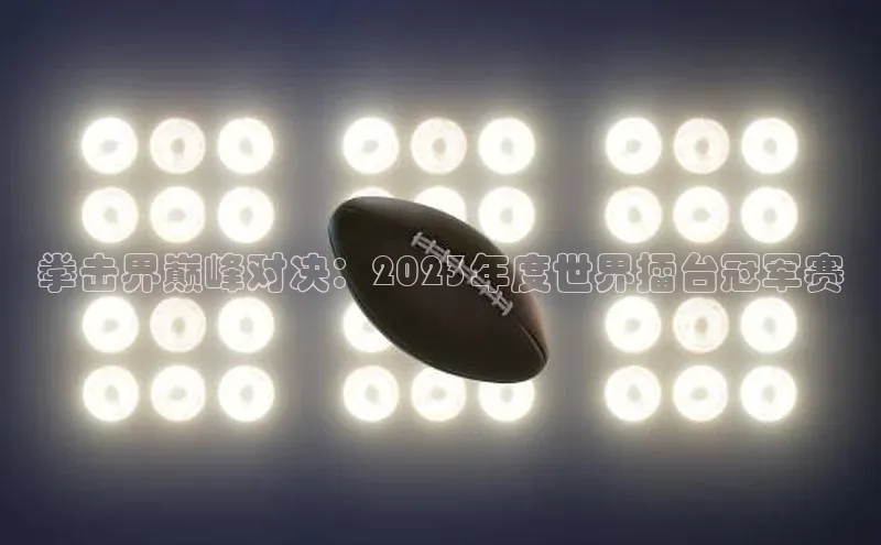 摩登7app下载网易拳击界巅峰对决：2023年度世界擂台冠军赛