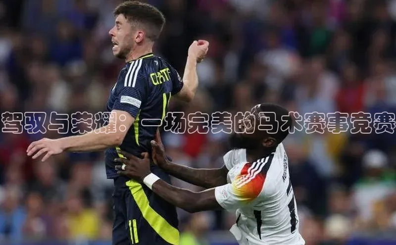 驾驭与荣耀：一场完美的马术赛事竞赛