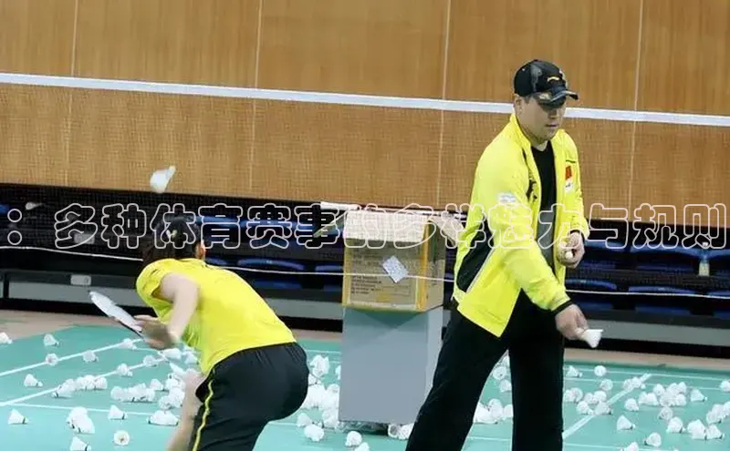 ：多种体育赛事的多样魅力与规则