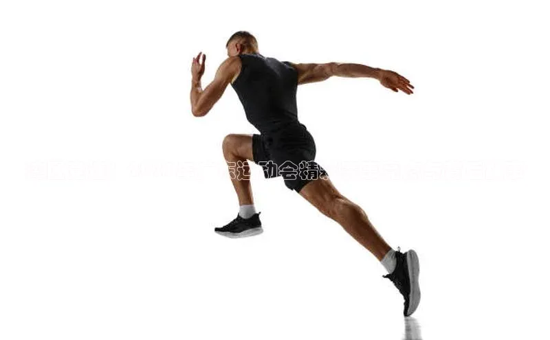 湾区竞速：2023年广东运动会精彩赛事亮点与背后故事