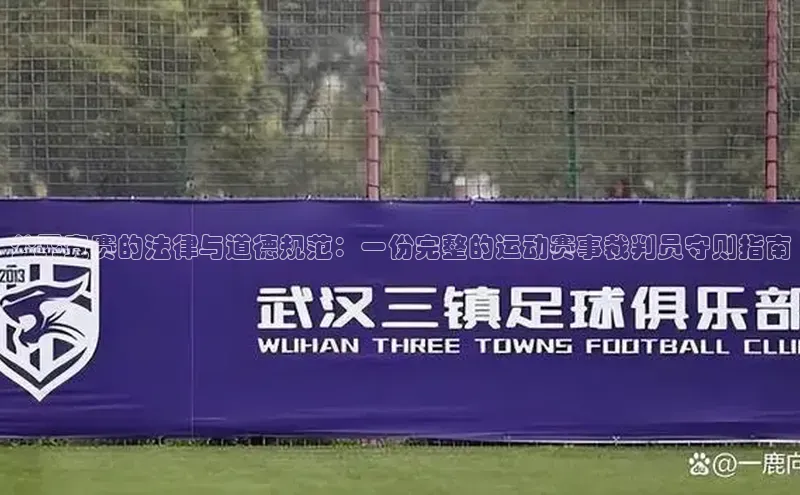 公平竞赛的法律与道德规范：一份完整的运动赛事裁判员守则指南