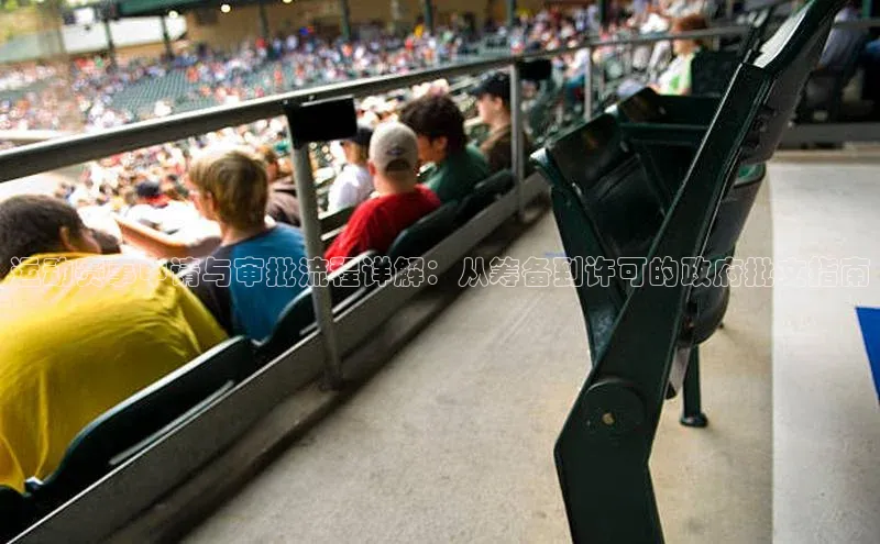 运动赛事申请与审批流程详解：从筹备到许可的政府批文指南