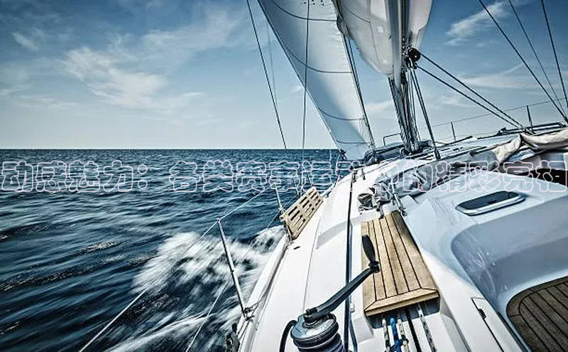 动感魅力：各类赛事运动中的精彩亮相