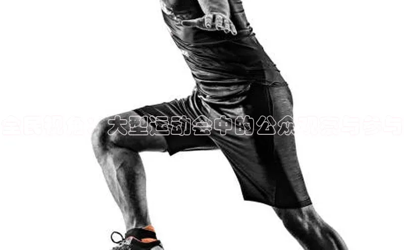 全民视角：大型运动会中的公众观察与参与