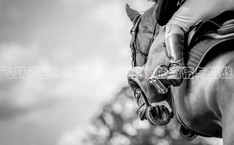 飞跃赛道：顶级运动类赛事的激情与挑战