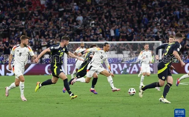 视角碰撞：来自不同群体的观看运动赛事体验分析